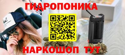 винт Кимры