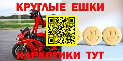 сатива Кингисепп