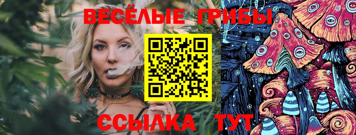 Псилоцибиновые грибы прущие грибы Кимовск