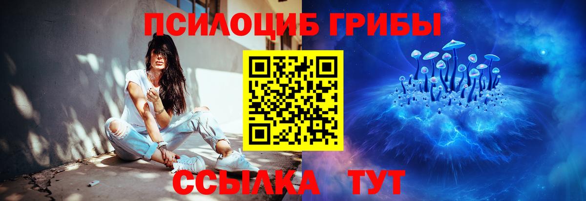 Галлюциногенные грибы GOLDEN TEACHER  Вход с VPN  Кимовск  Галлюциногенные грибы прущие грибы 